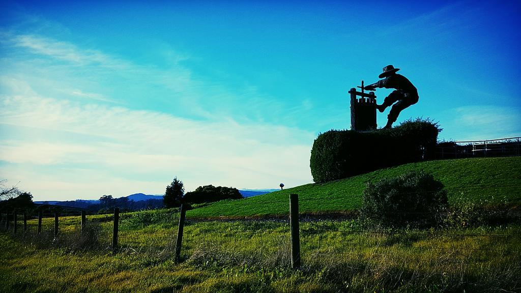 Abode Napa Valley Екстер'єр фото